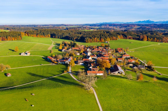 Umzug Land Job Young Professionals Umfrage